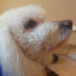 Meet your Posher, Meghan